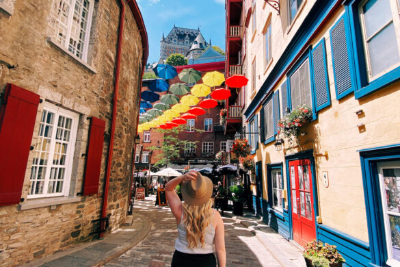 Chateau-Fleur-De-Lys-parapluie-rue-cul-de-sac